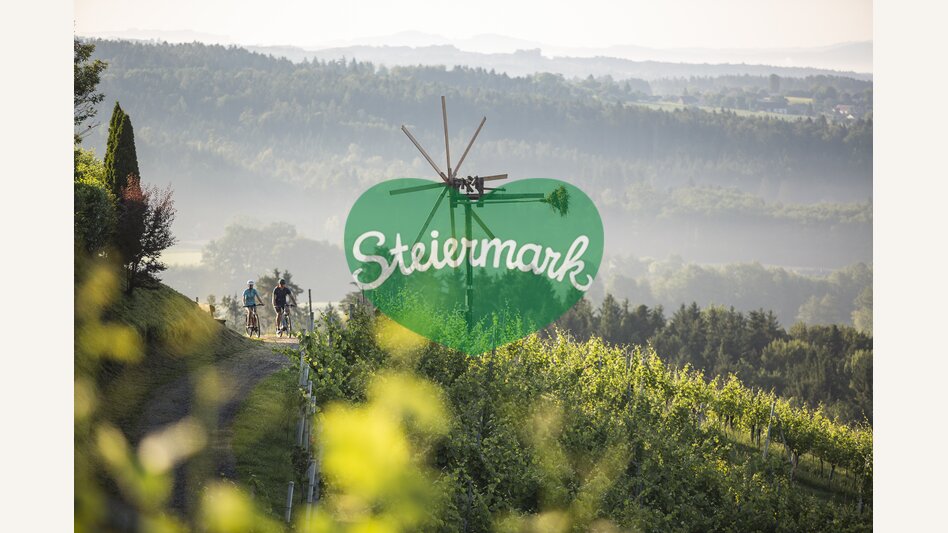 Vineyards Hochgrail near St. Stefan ob Stainz | © Schilcherland Steiermark | Velontour