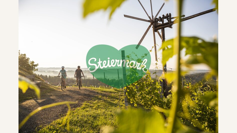 Vineyards Hochgrail near St. Stefan ob Stainz | © Schilcherland Steiermark | Velontour