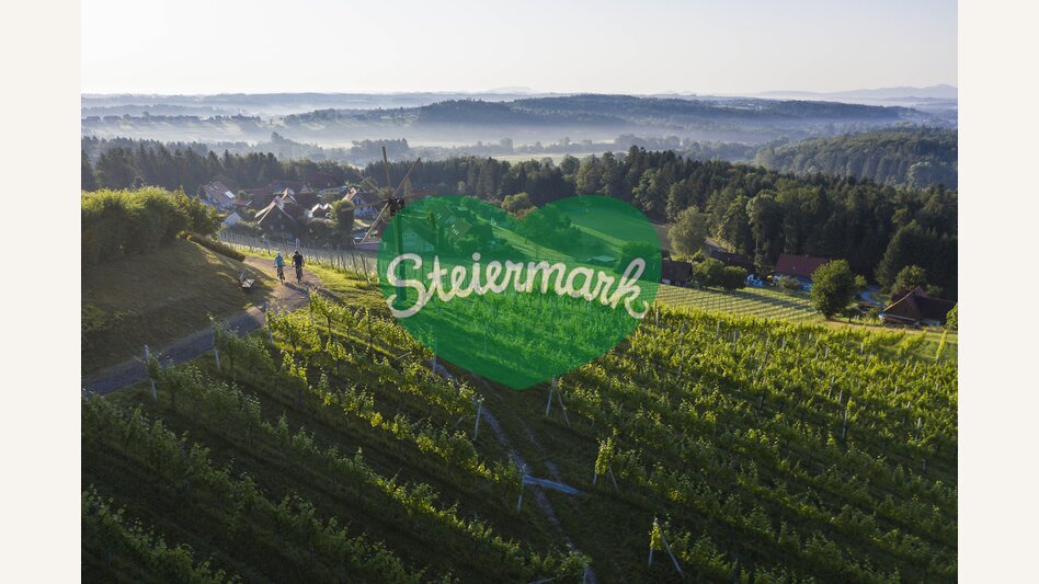 Vineyards Hochgrail near St. Stefan ob Stainz | © Schilcherland Steiermark | Velontour