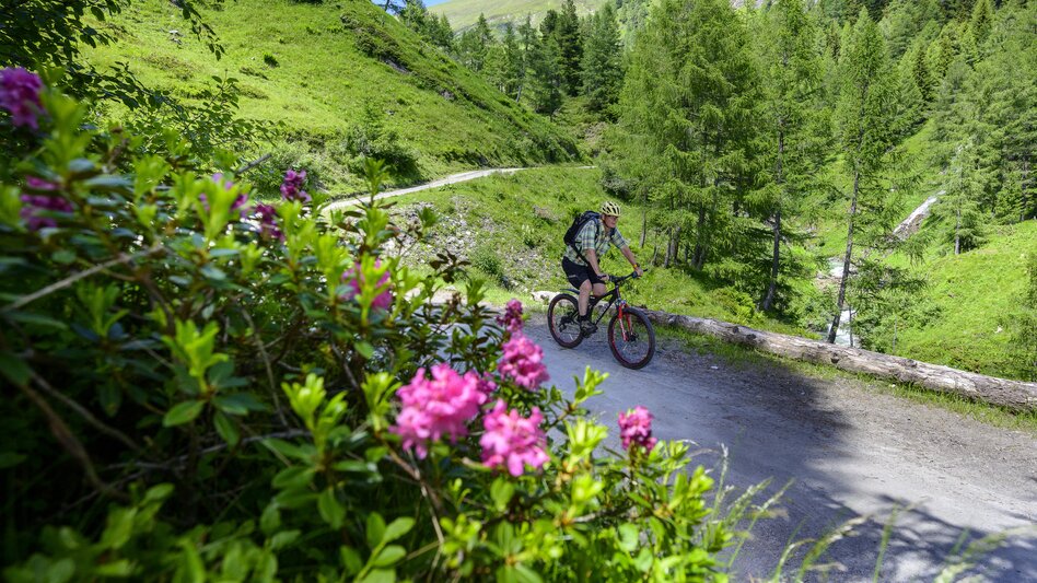 Am Murradweg im Nationalpark Hohe Tauern