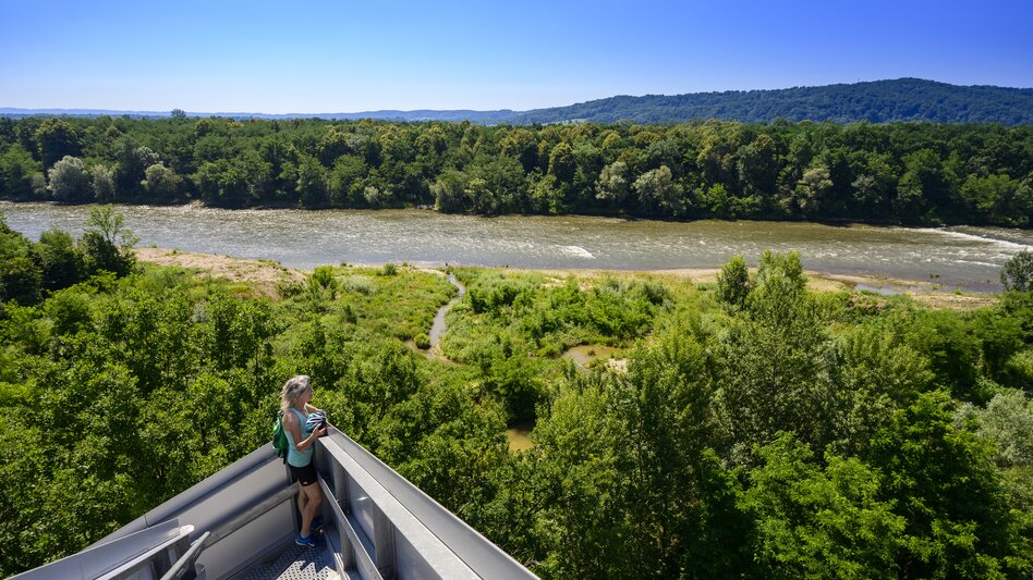 Blick vom Murturm auf die Mur im UNESCO Biosphärenpark | © STG | pixelmaker.at