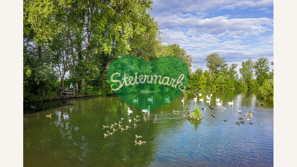 At the reservoir in Altgralla | © Steiermark Tourismus | pixelmaker.at
