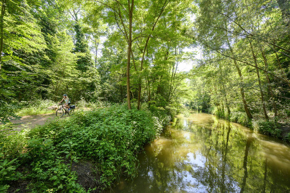 am Murradweg/R2:auf dem Weg nach Straß in der  Steiermark | © Steiermark Tourismus | pixelmaker.at