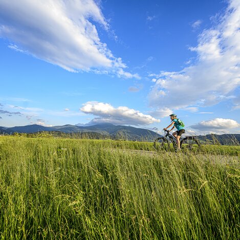 am Murradweg/R2: bei Fisching | © Steiermark Tourismus | pixelmaker.at