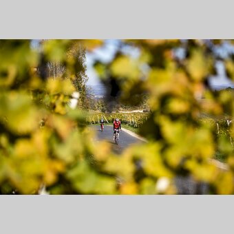 Cycling in the Styrian Wine Country | © Steiermark Tourismus | Tom Lamm