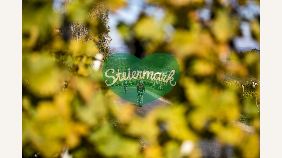 Cycling in the Styrian Wine Country | © Steiermark Tourismus | Tom Lamm