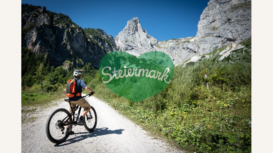 Mountainbiketour im Angesicht des Kaiserschilds | © STG | Jesse Streibl