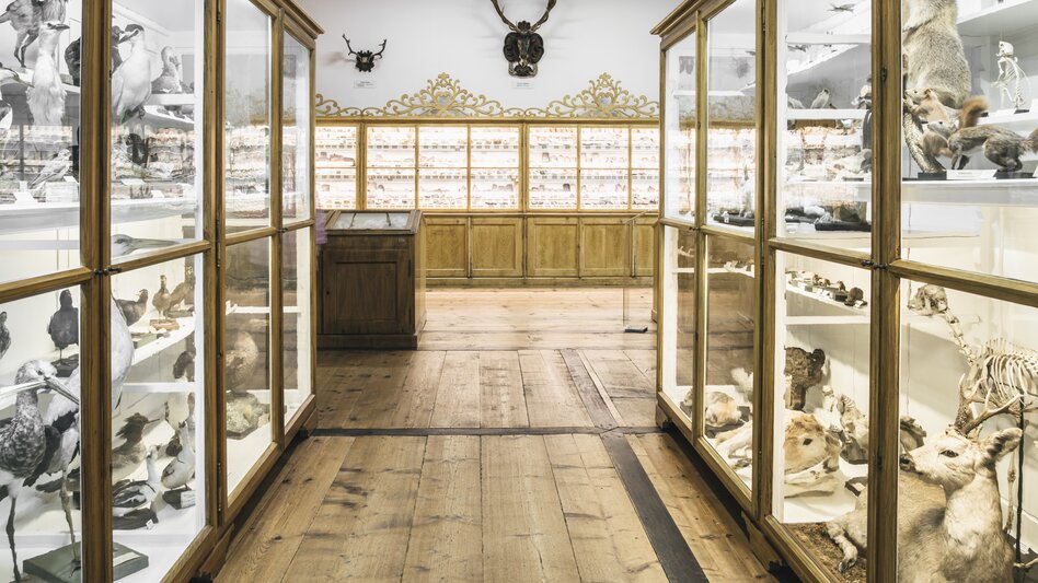 Naturhistorisches Museum im Stift Admont