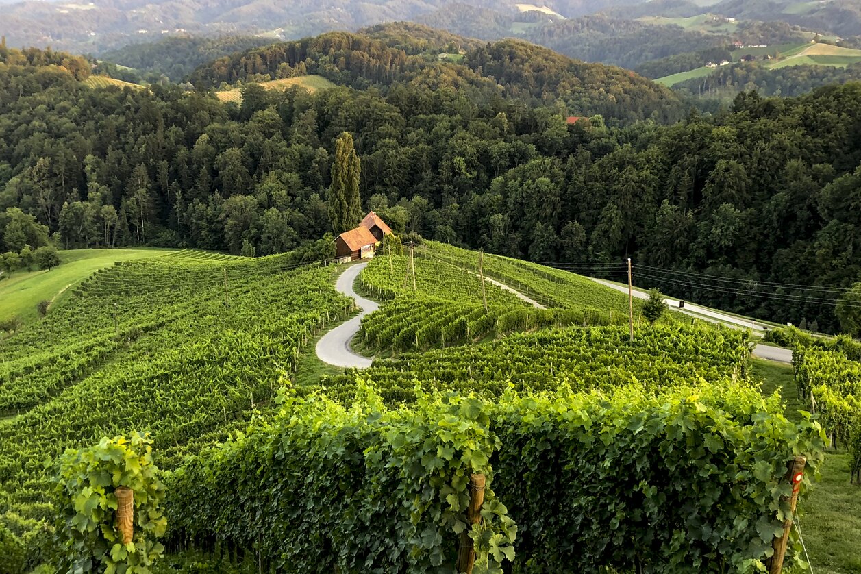 Die "Herzerlstraße" in Slowenien grenzt an die Südsteiermark | © STG | Martina Traisch