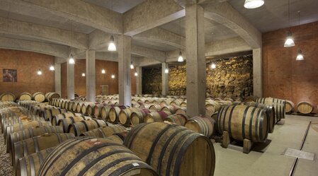 Vineyard Tement, red wine cellar, Southern Styria | © Vino Cool / Harald Eisenberger | Harald Eisenberger