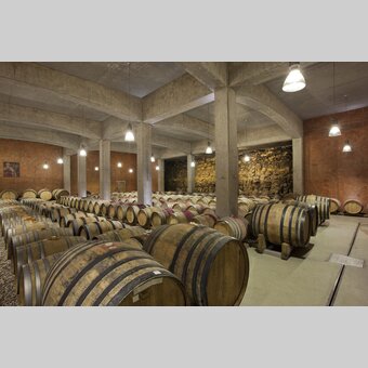 Vineyard Tement, red wine cellar, Southern Styria | © Vino Cool / Harald Eisenberger | Harald Eisenberger