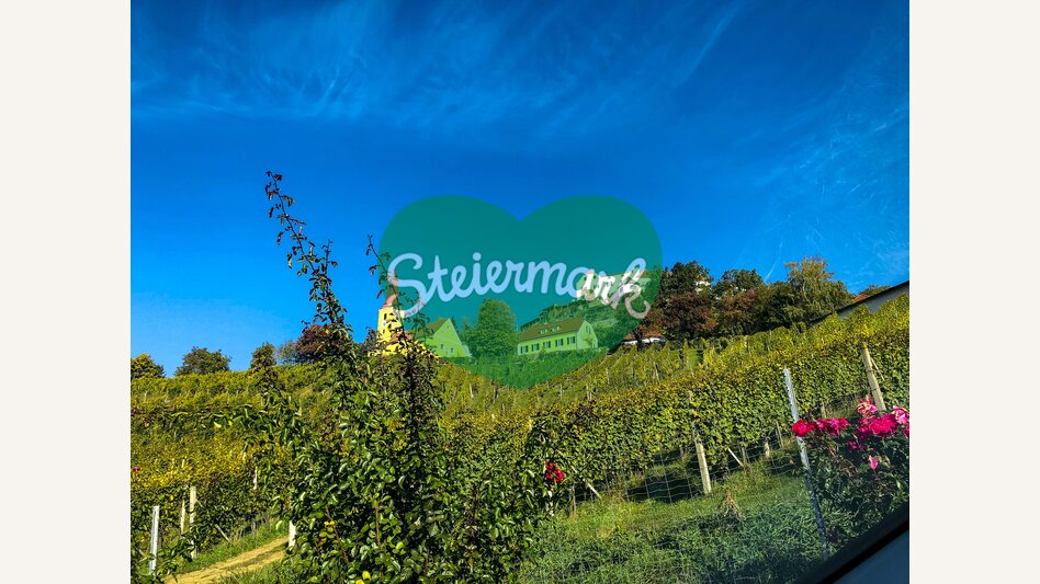 View to the castle of Kapfenstein | © Steiermark Tourismus | Ute Hödl