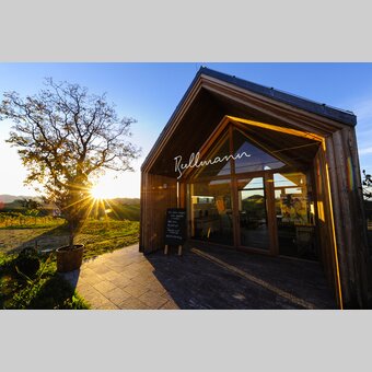 Vineyard Bullmann, Ratsch an der Weinstraße, Southern Styria | © Steiermark Tourismus | Atelier Jungwirth / allOver