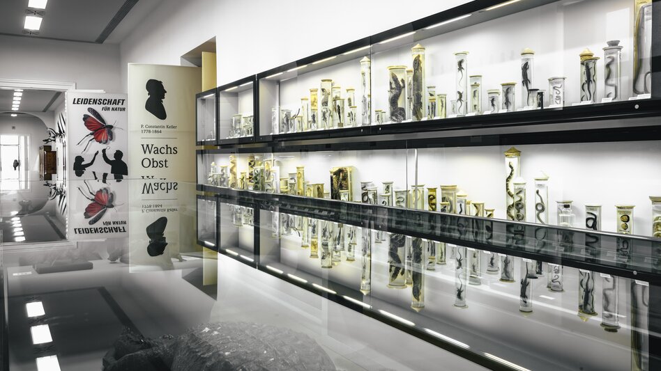 Naturhistorisches Museum im Stift Admont