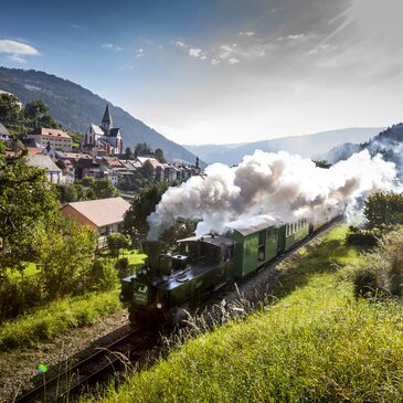 Murtalbahn mit Murau im Hintergrund