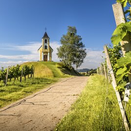 Dreisiebner-Kapelle in Eichberg-Trautenburg