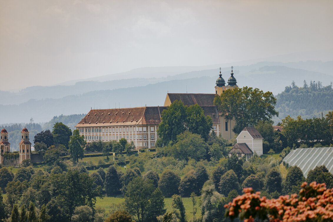 PackageStainz Castle and the Schilcher Wine Road - Along the Schilcher Wine Road