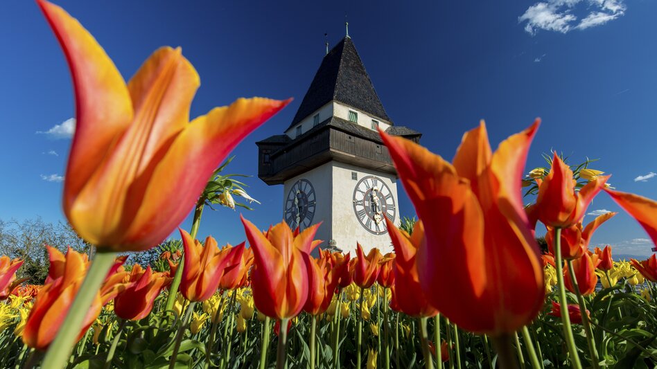 Frühling am Grazer Schlossberg