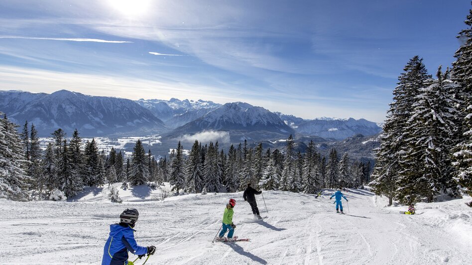 Skifahren am Loser