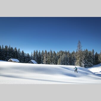Skitour to the Viehberg | © Steiermark Tourismus | photo-austria.at