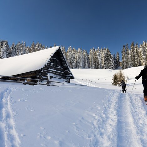 Skitour in der Gaal | © STG | Harry Schiffer