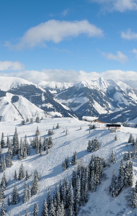 Riesneralm Panorama 6er-Bergstation mit dem Hochsitz | © Riesneralm | Erwin Petz