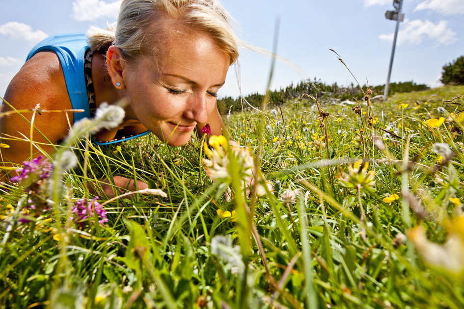 Blossom world Hochschwab | © Steiermark Tourismus | Tom Lamm | ETZ Projekt Hiking & Biking SI-AT