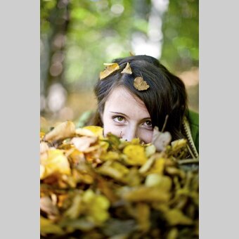Herbstzeit | © STG | Tom Lamm