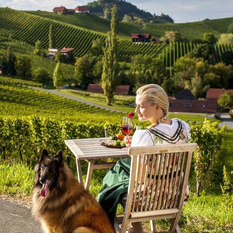 Urlaub beim Wein mit Hund | © STG | Tom Lamm