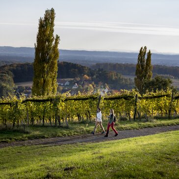 Wandern in Klöch