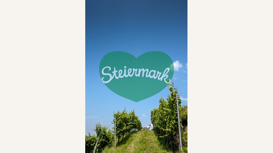 Wein-Lese einmal anders | © STG | Kubiza