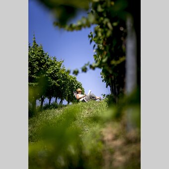 Wein-Lese einmal anders ;-) | © STG | Tom Lamm
