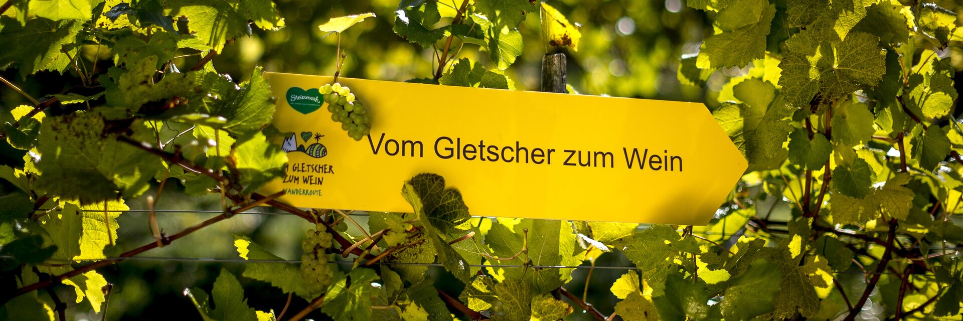 Wanderroute "Vom Gletscher zum Wein" | © Steiermark Tourismus | Tom Lamm