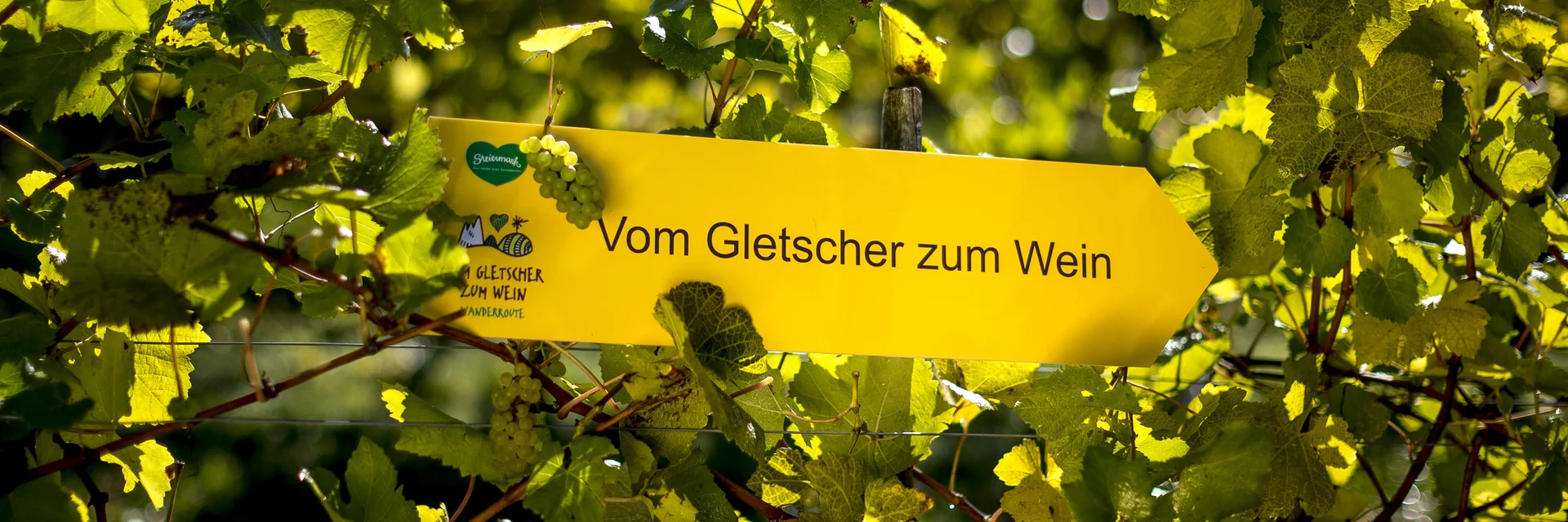Wanderroute "Vom Gletscher zum Wein" | © STG | Tom Lamm
