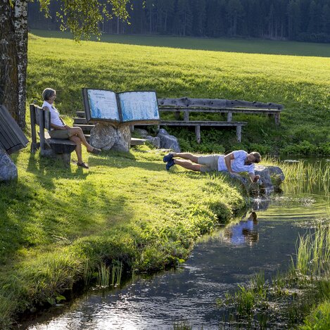 Zeutschach spring of origin, a karst spring with a flow rate of 90 - 120 litres of water per second | © Steiermark Tourismus | Tom Lamm