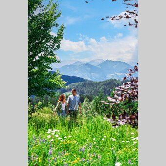 Am Bründlweg am Pogusch | © TV Hochsteiermark | Robert Maybach