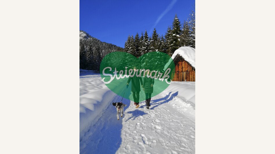 Winterspaziergang mit Hund auf der Blaa-Alm | © STG | Martina Haselwander