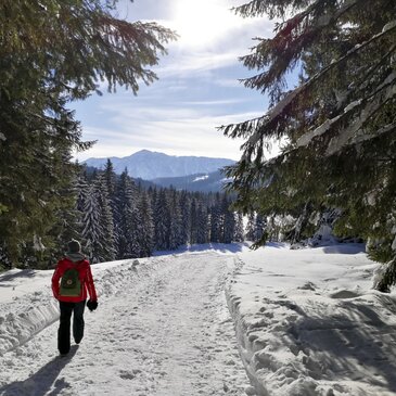 Winterspaziergang im Ausseerland