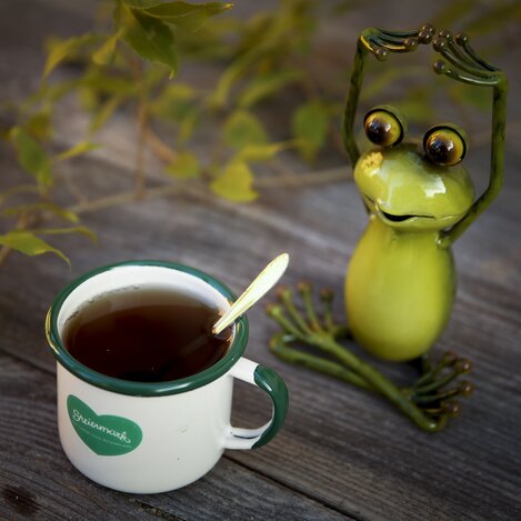 Durstiger Steiermark-Frosch mit Herzhäferl | © STG | Bernhard Loder