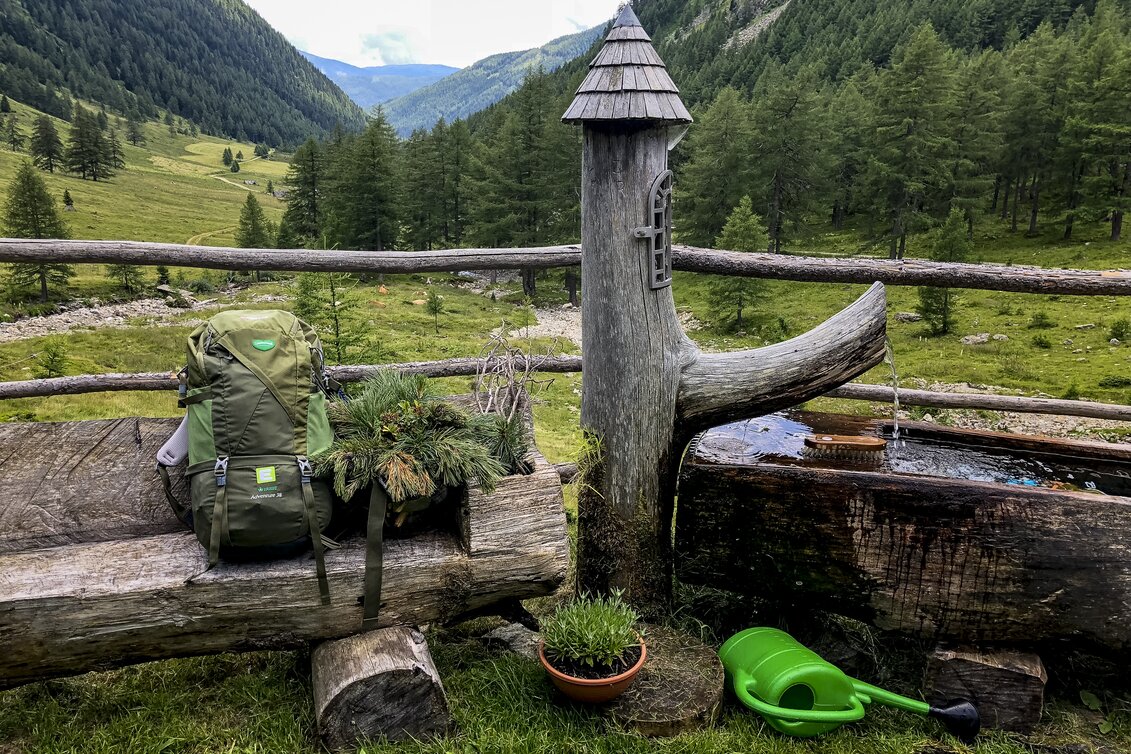 beim Wandern | © STG | Martina Traisch