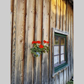 Lodge with pelargonium | © Steiermark Tourismus | Martina Haselwander