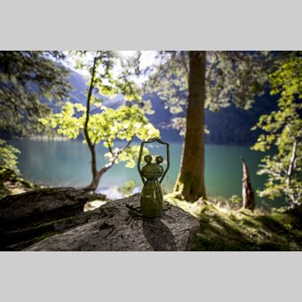 Styrian frog at the lake | © Steiermark Tourismus | Tom Lamm