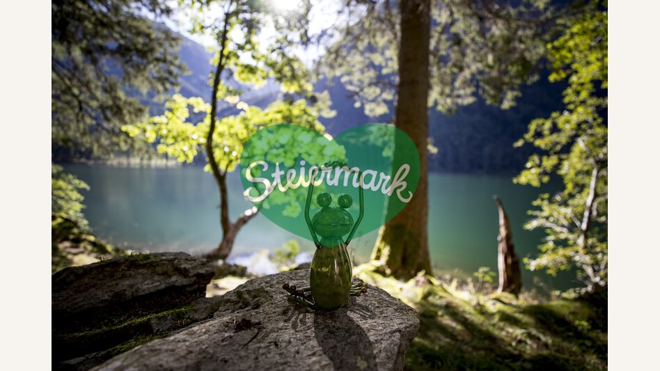 Styrian frog at the lake | © Steiermark Tourismus | Tom Lamm