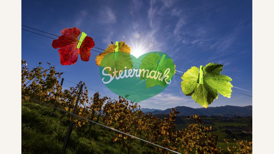 vineyard in autumn | © Steiermark Tourismus | Harry Schiffer