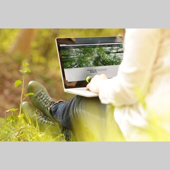 Vacation planning in the green | © Steiermark Tourismus | Bernhard Loder
