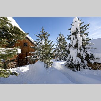 snowed in  | © Steiermark Tourismus | Tom Lamm