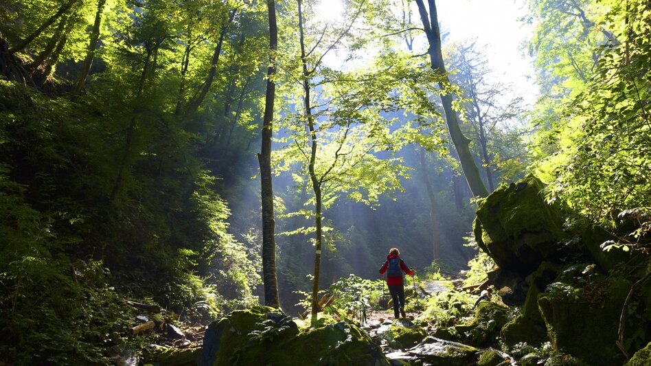 Wanderung in der Heilgengeistklamm bei Leutschach 