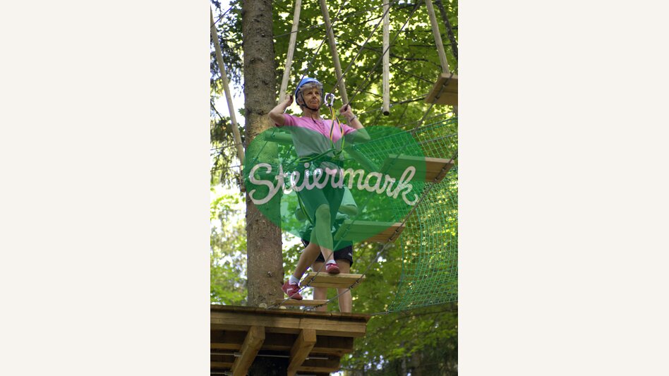 High ropes course | © Steiermark Tourismus | Atelier Jungwirth / Gery Wolf