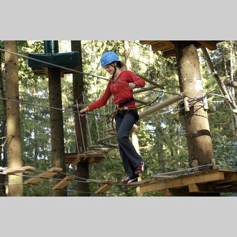 High ropes course | © Steiermark Tourismus | Atelier Jungwirth / Gery Wolf