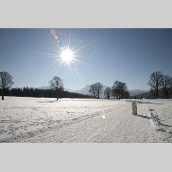 Winterwandern in Ramsau am Dachstein | © STG | Atelier Jungwirth / Werner Schandor